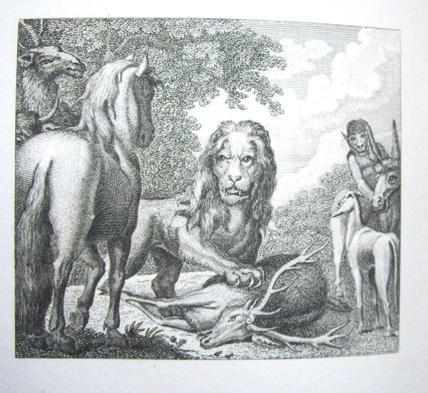 Stockdale's Aesop in Boards