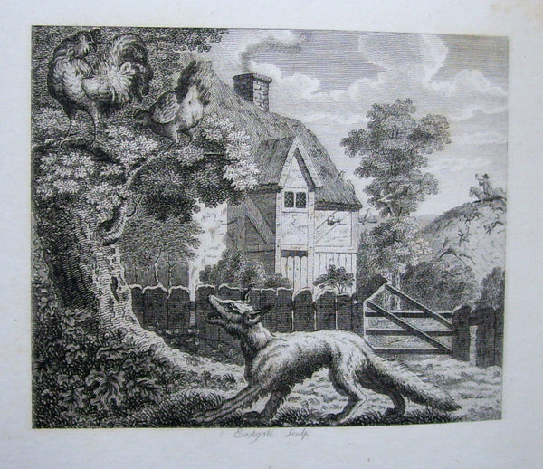 Stockdale's Aesop in Boards