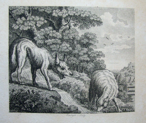 Stockdale's Aesop in Boards