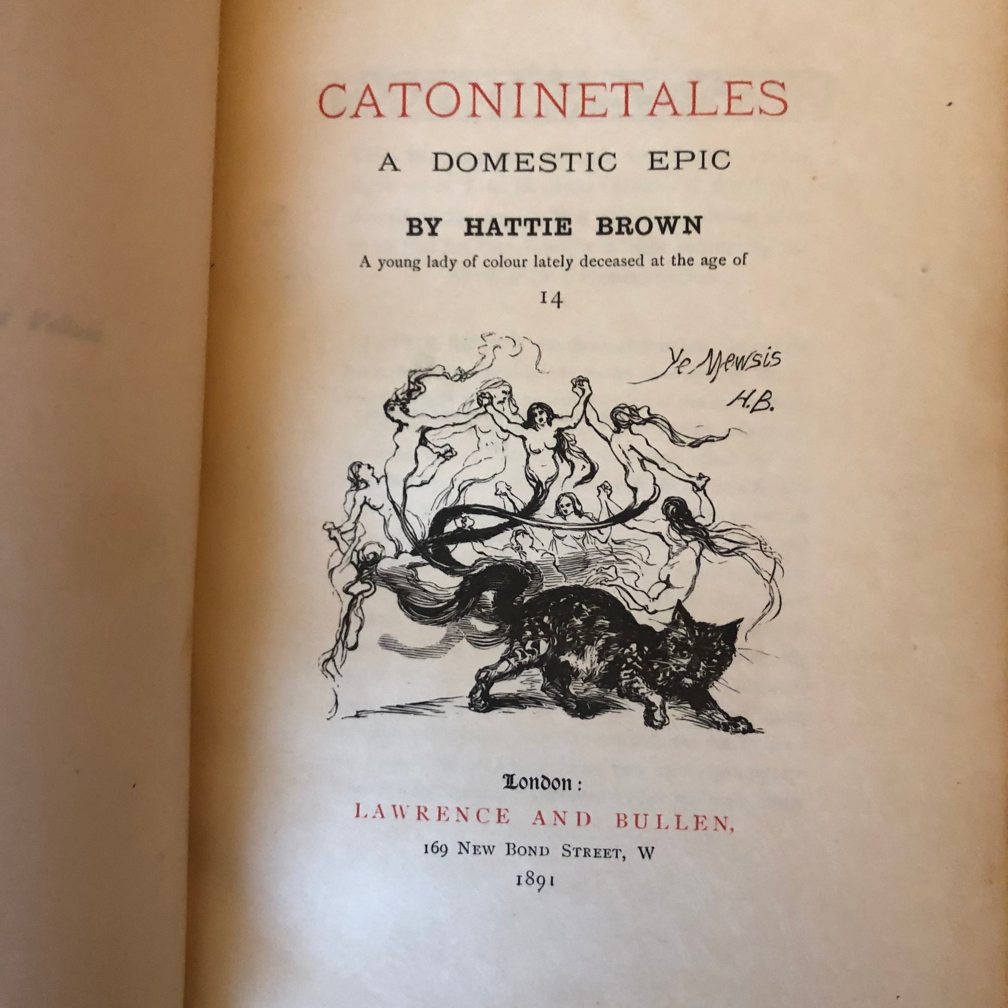 Mysterious Book about a Cat by a Fictitious Black Teenage Author
