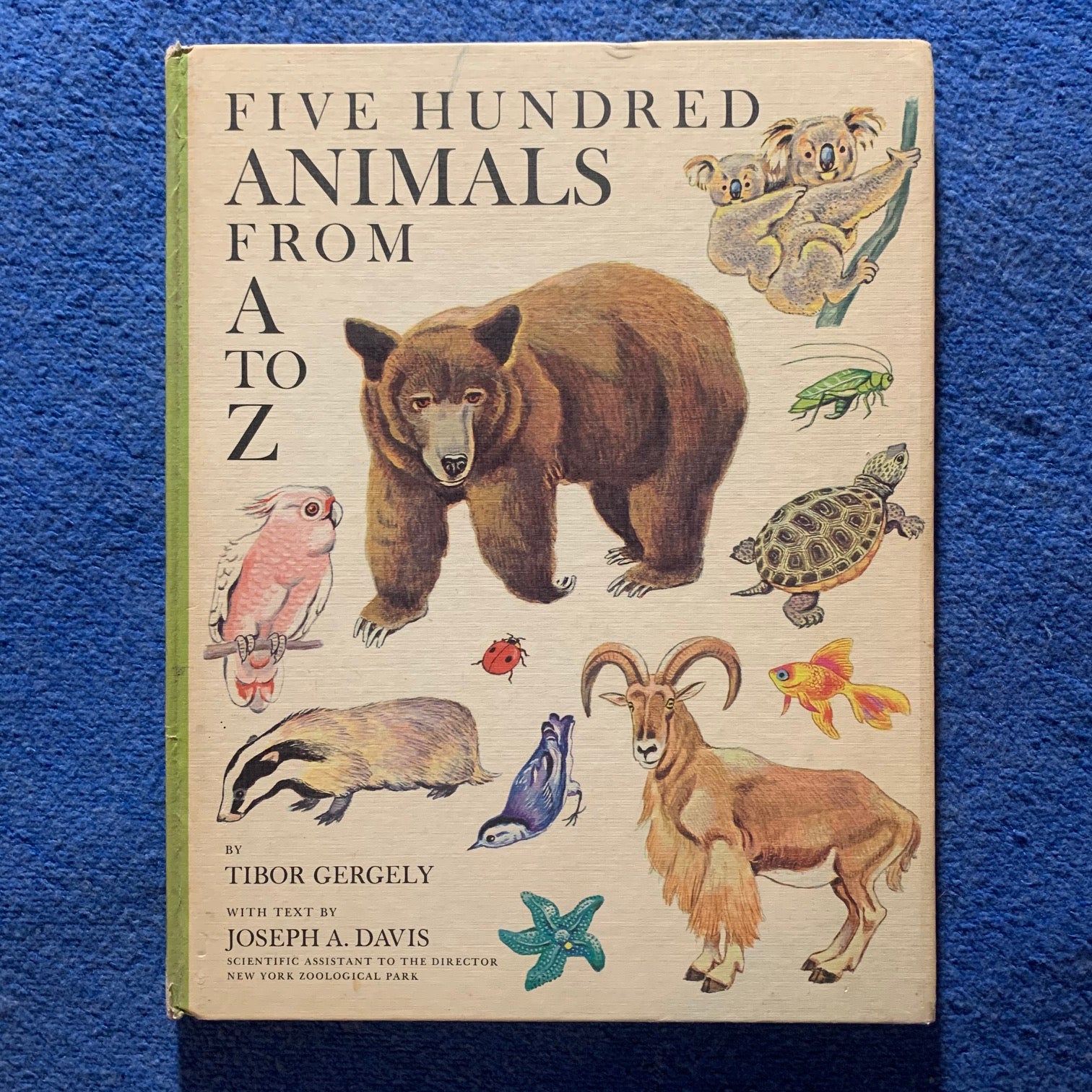 Five Hundred Animals from A to Z by Tibor Gergely