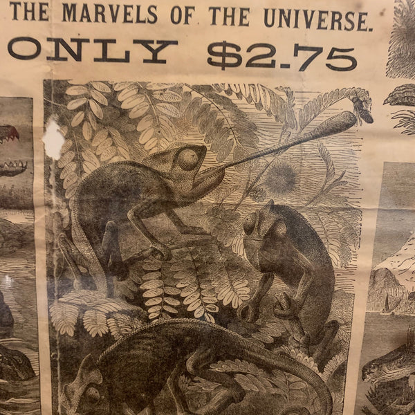 Broadside and book it advertises; Marvels of the Universe