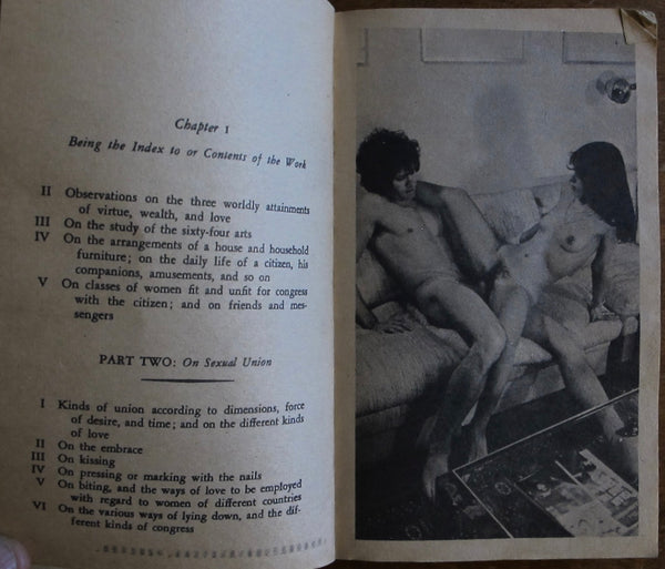 Explicit American Kama Sutra