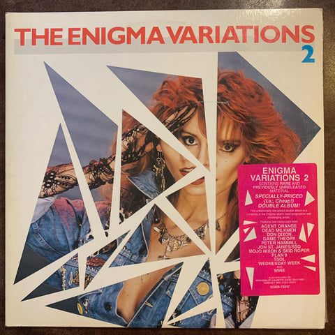 Enigma Variations 2 (Punk compilation/various artists)