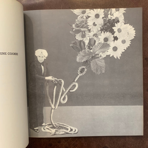 The Nixon Poems by Eve Merriam