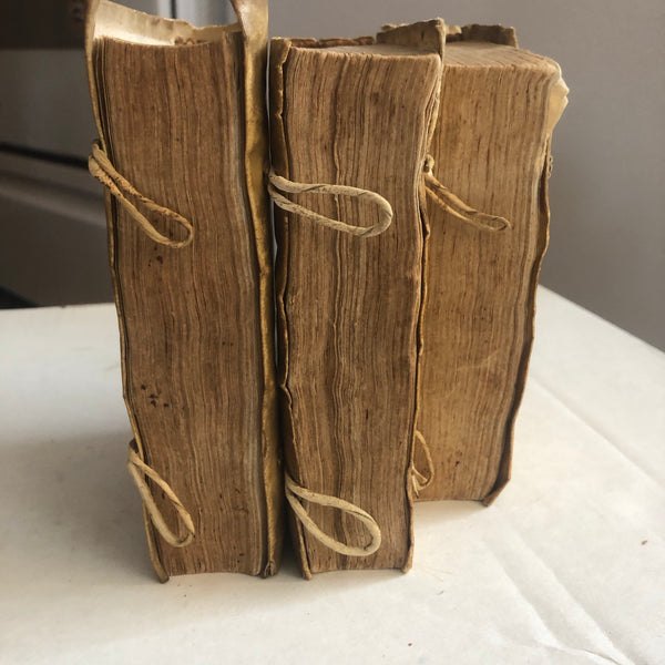 Cicero in cool vellum bindings
