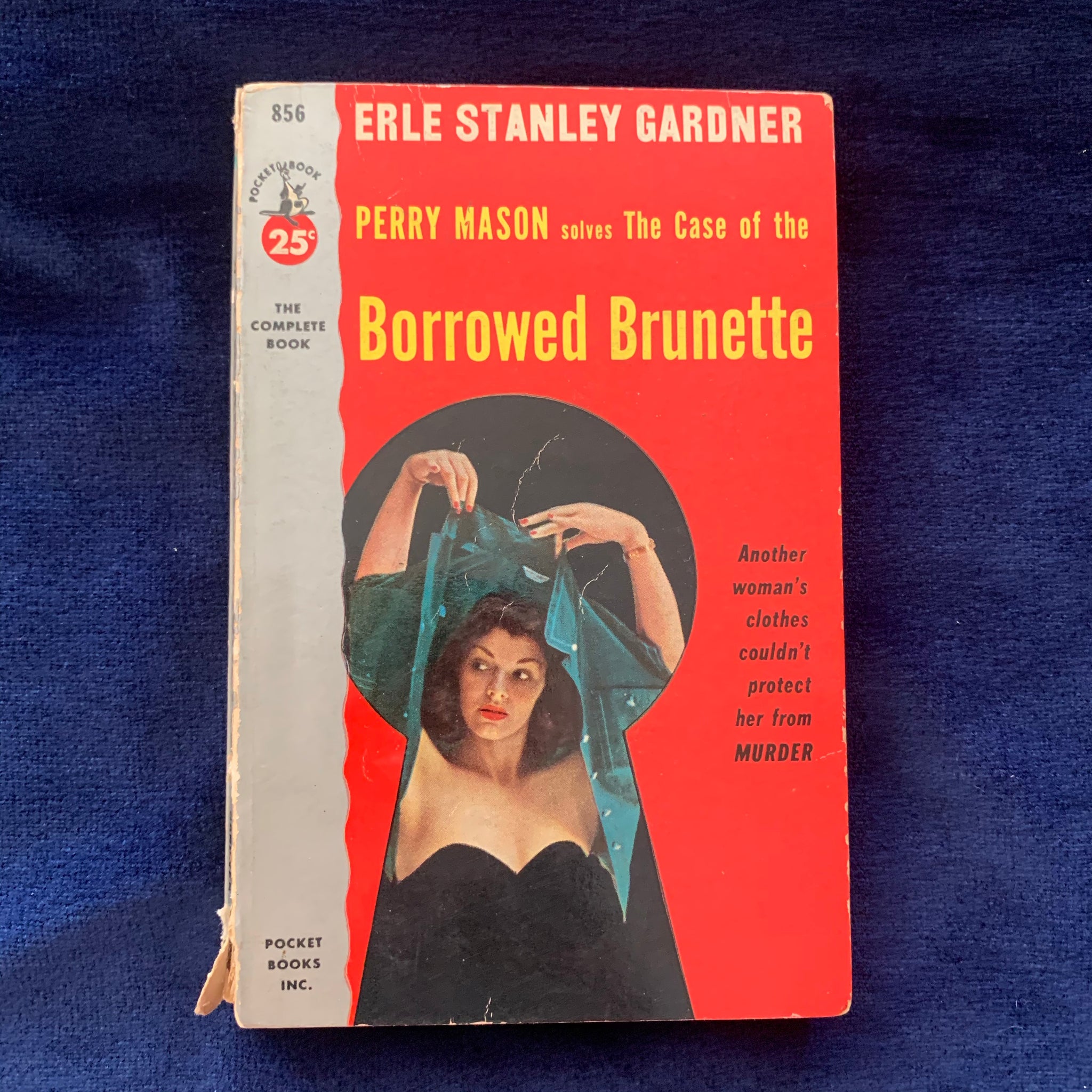 Borrowed Brunette