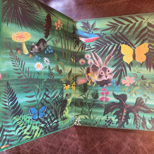 The Golden Egg Book by Margaret Wise Brown