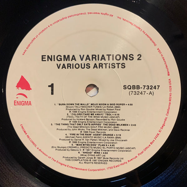 Enigma Variations 2 (Punk compilation/various artists)